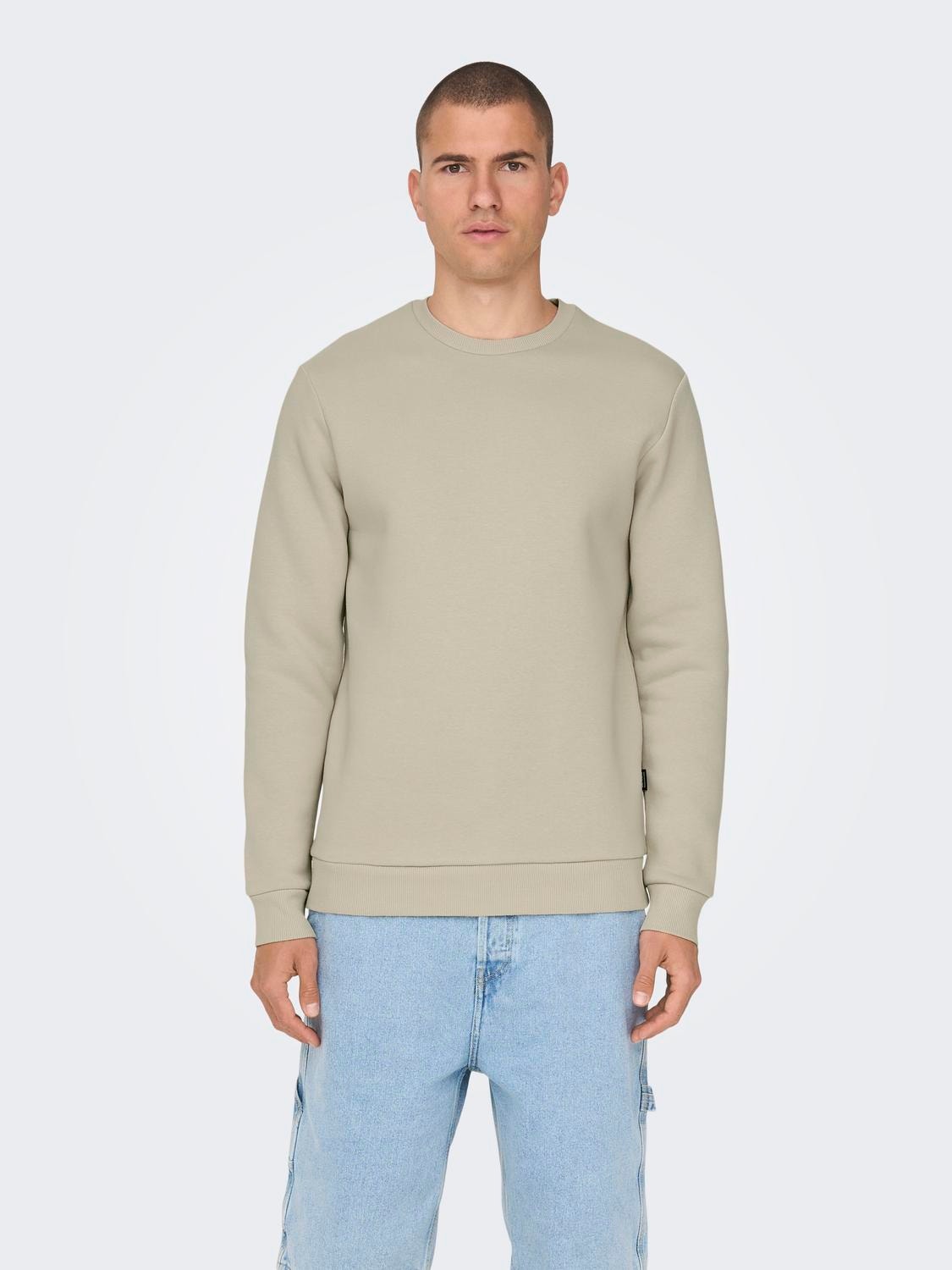 Regular Fit Round Neck Sweatshirt, Light Grey
