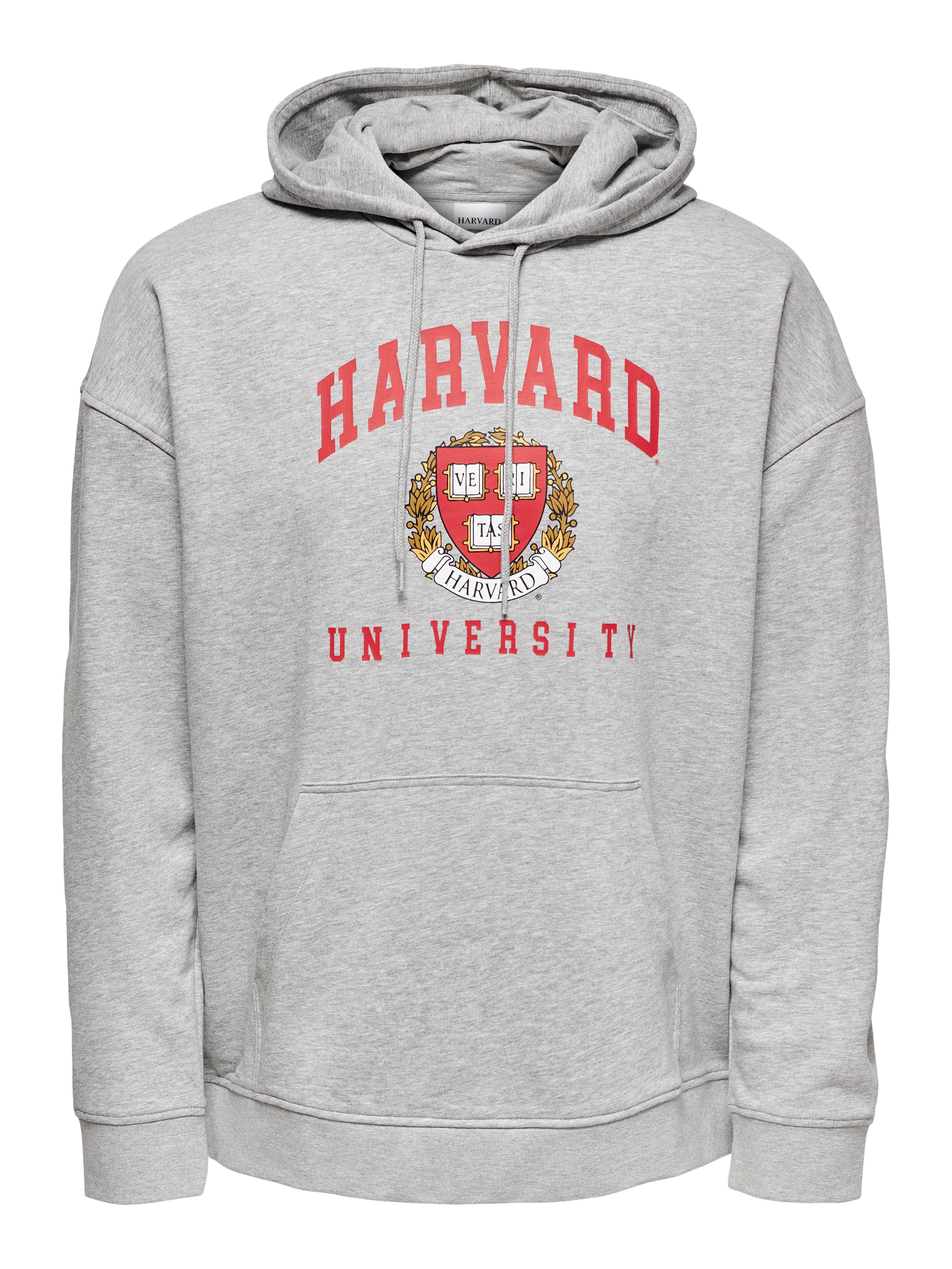 harvard hoodie