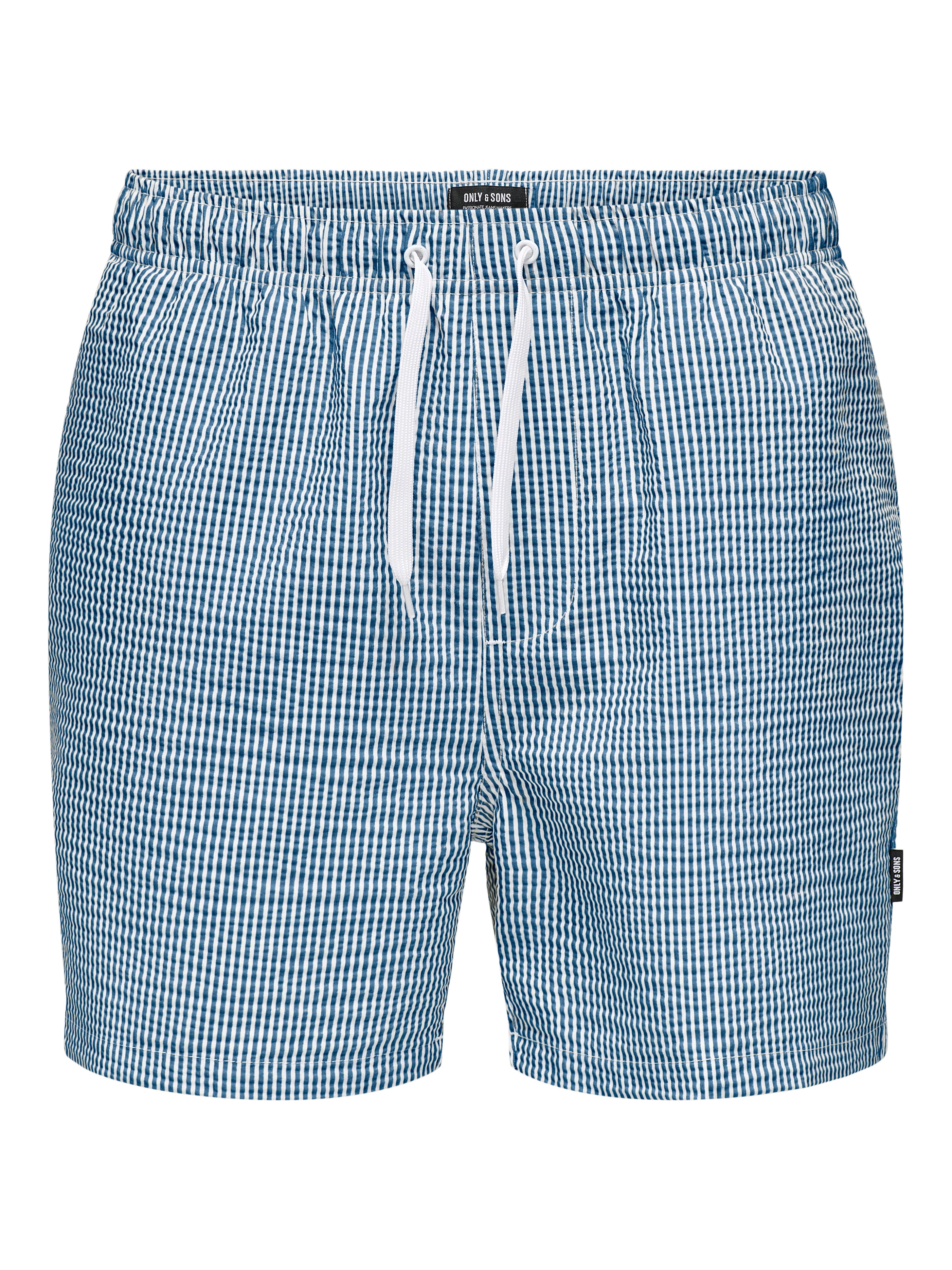 ●Bad Blue● Check Twin Bottons Shorts (Blue) Blue Zebra Biker Shorts 8” – VOXY
