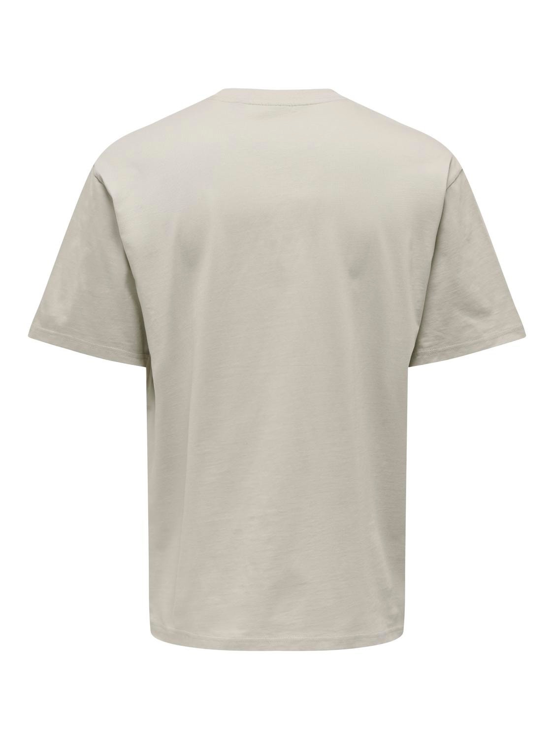 ONLY & SONS Locker geschnitten Rundhals T-Shirt -Silver Lining - 22022532