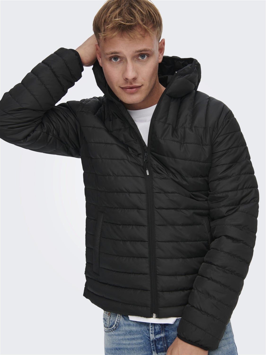 wallis petite black padded coat