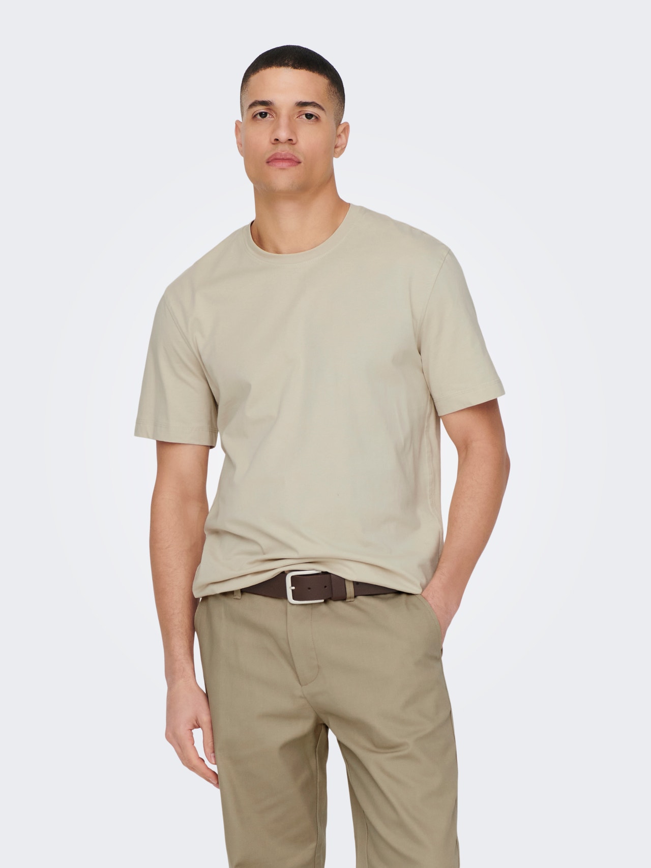 ONLY & SONS Regular fit O-hals T-shirts -Pelican - 22025208