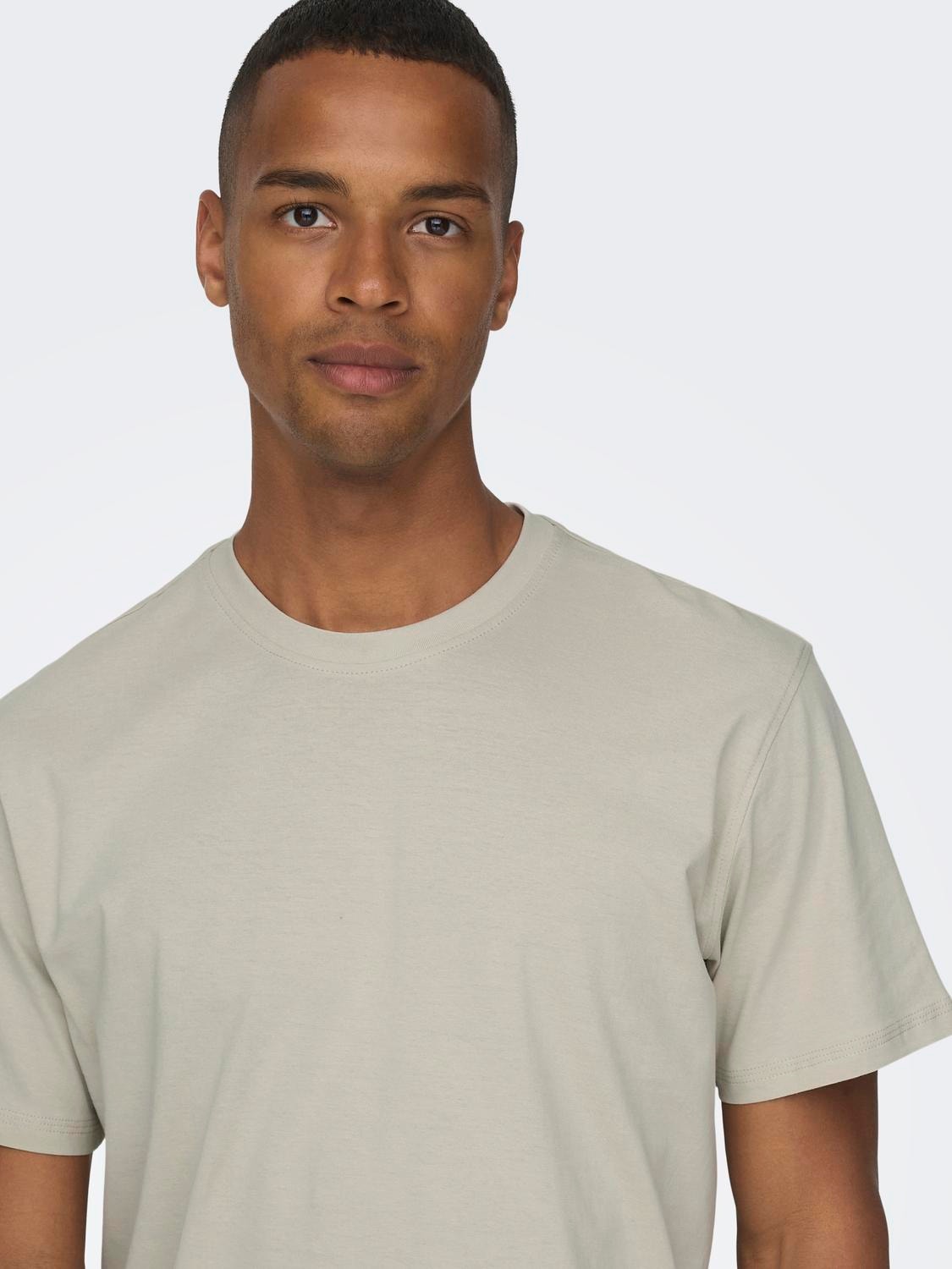 ONLY & SONS T-shirts Regular Fit Col rond -Silver Lining - 22025208
