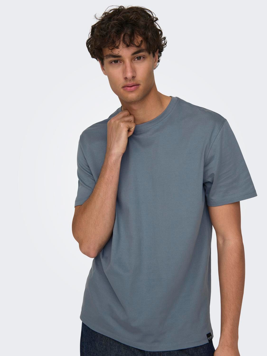 ONLY & SONS Normal passform O-ringning T-shirt -Flint Stone - 22025208