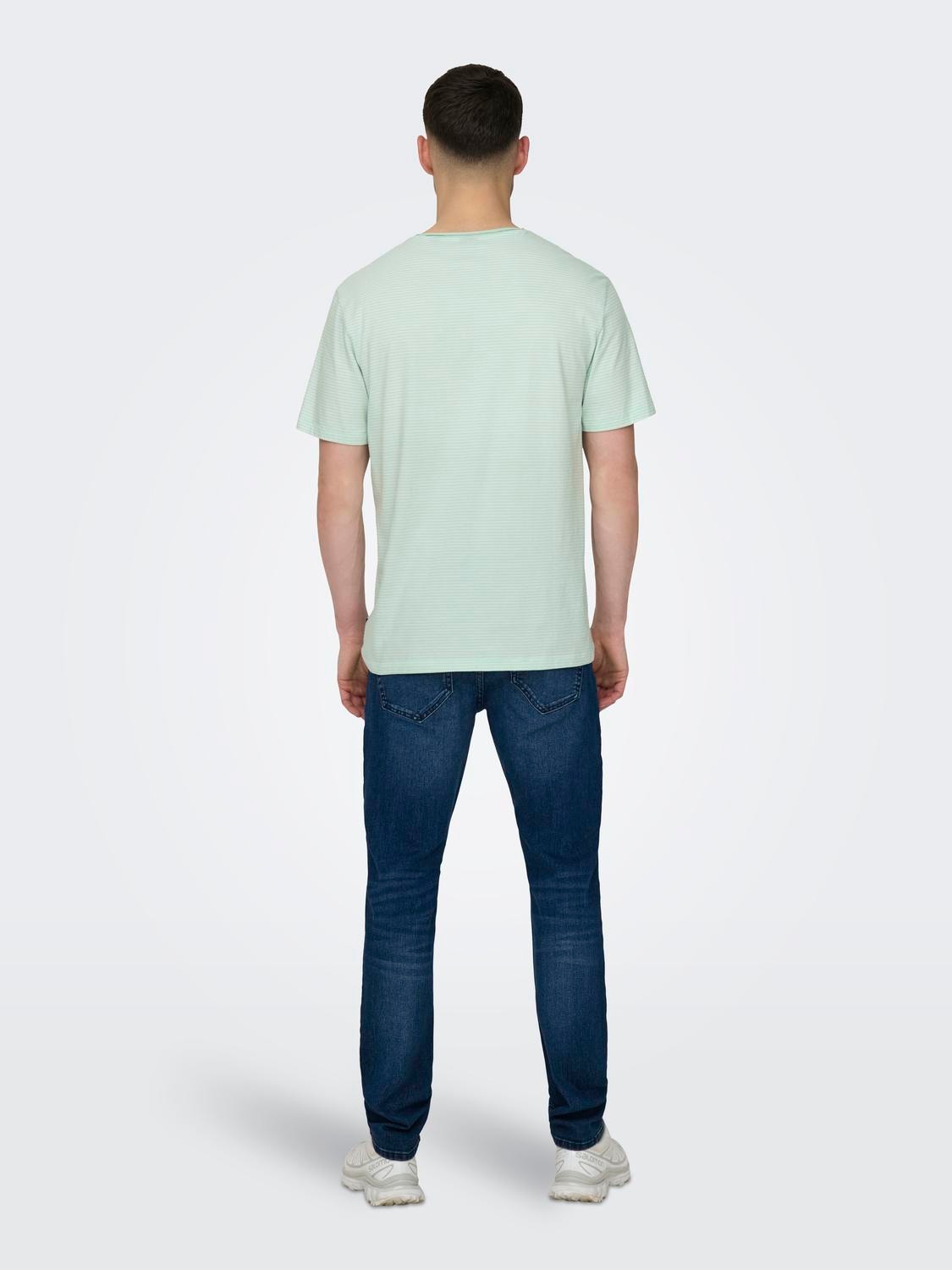 ONLY & SONS Normal geschnitten Rundhals T-Shirt -Surf Spray - 22025680