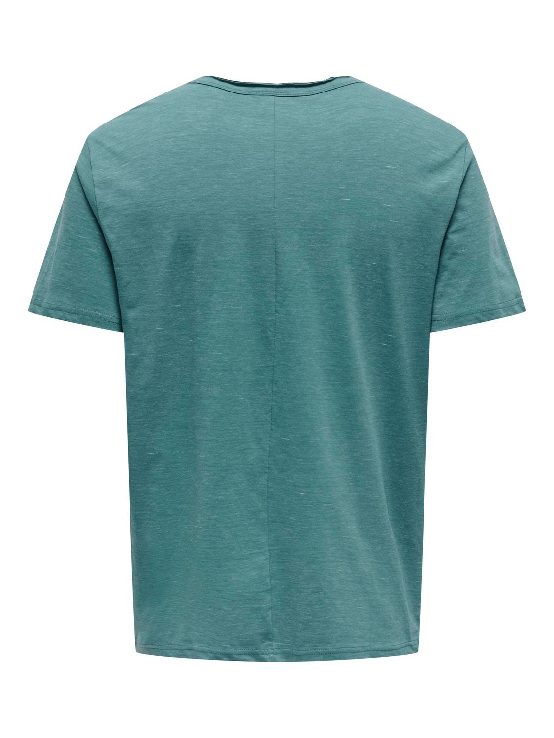 ONLY & SONS Normal geschnitten Rundhals T-Shirt -Hydro - 22026083