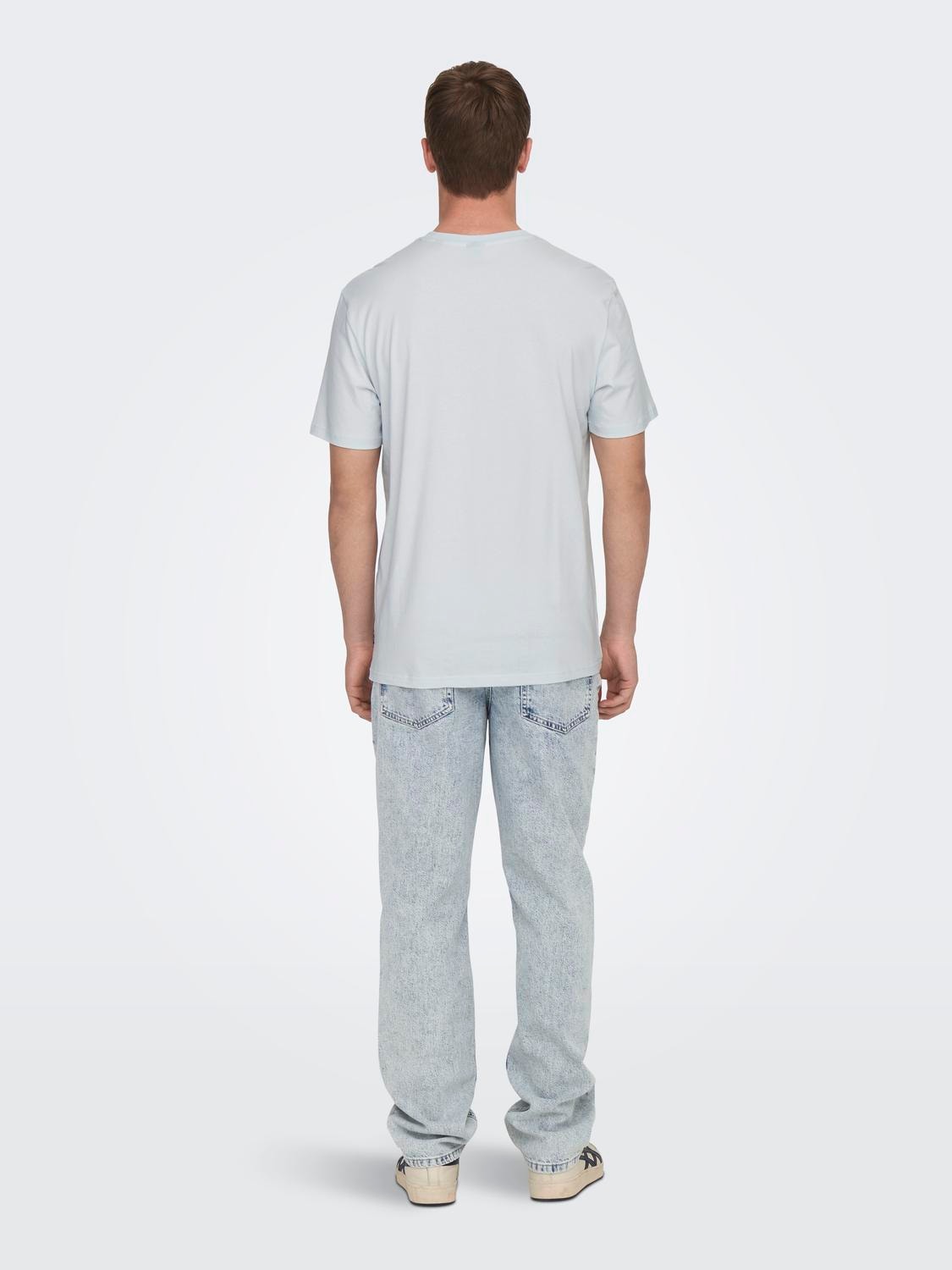 ONLY & SONS Regular Fit Round Neck T-Shirt -Plein Air - 22026084
