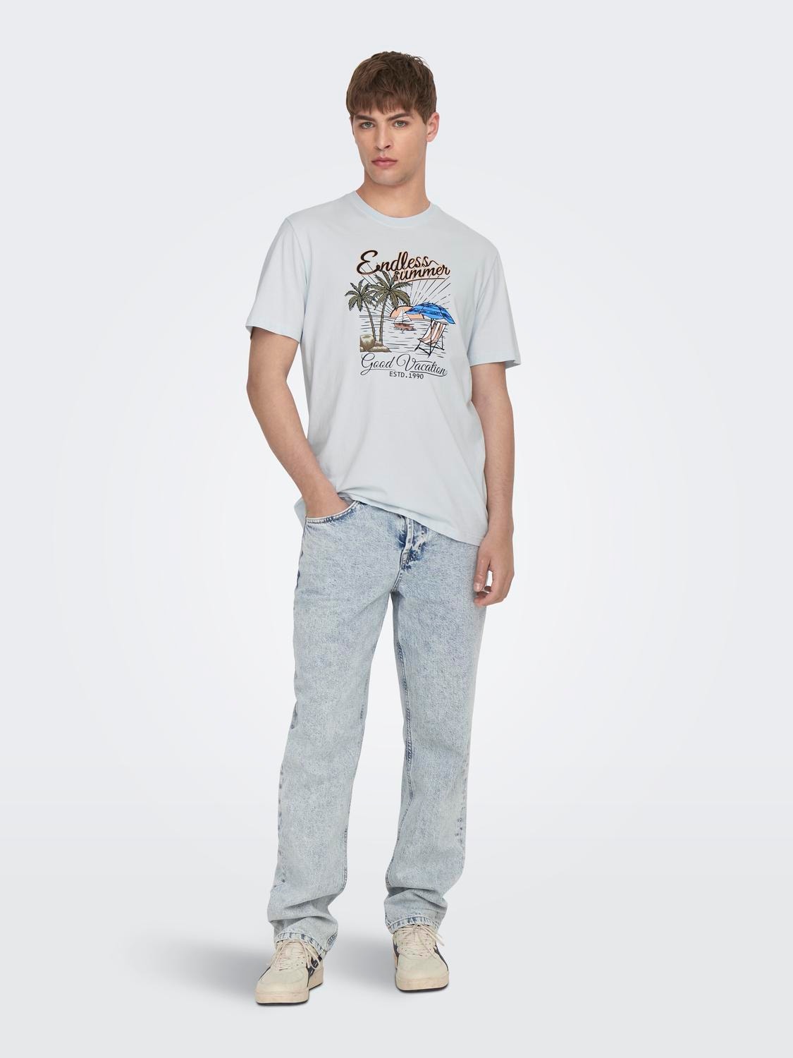 ONLY & SONS O-neck t-shirt with print -Plein Air - 22026084