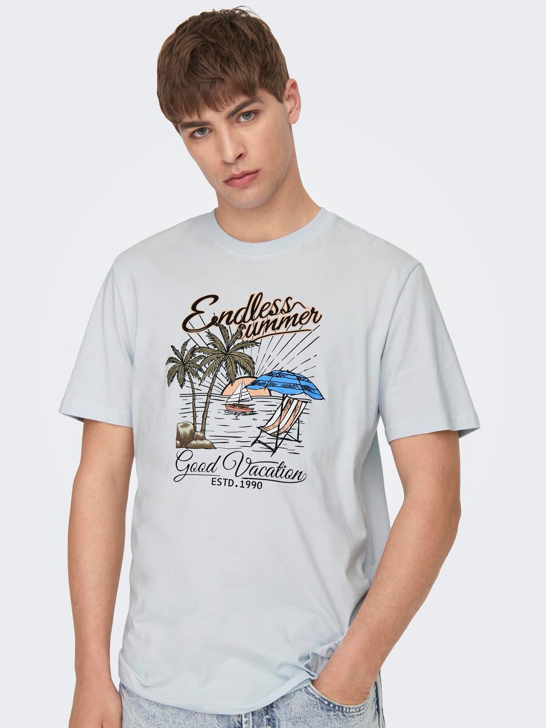 ONLY & SONS Normal passform O-ringning T-shirt -Plein Air - 22026084