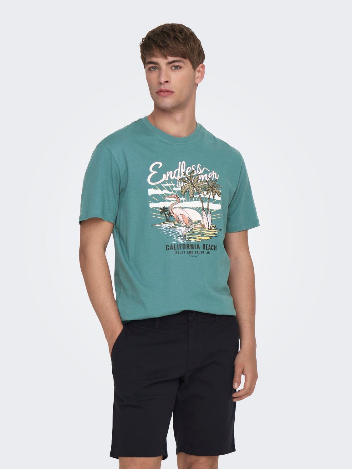 ONLY & SONS Normal passform O-ringning T-shirt -Hydro - 22026084