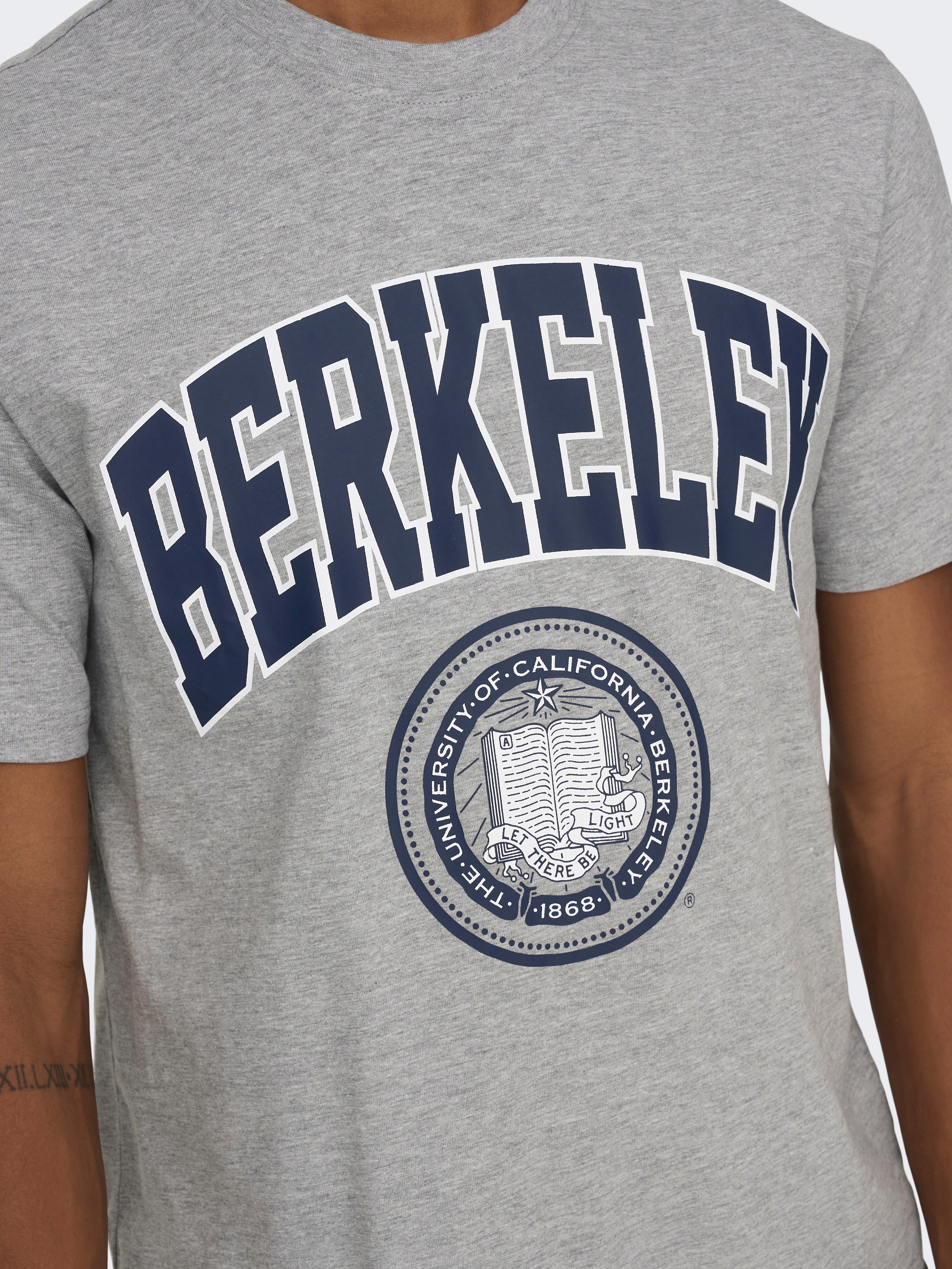 ONSBERKELEY T-shirt | Light Grey | ONLY & SONS®