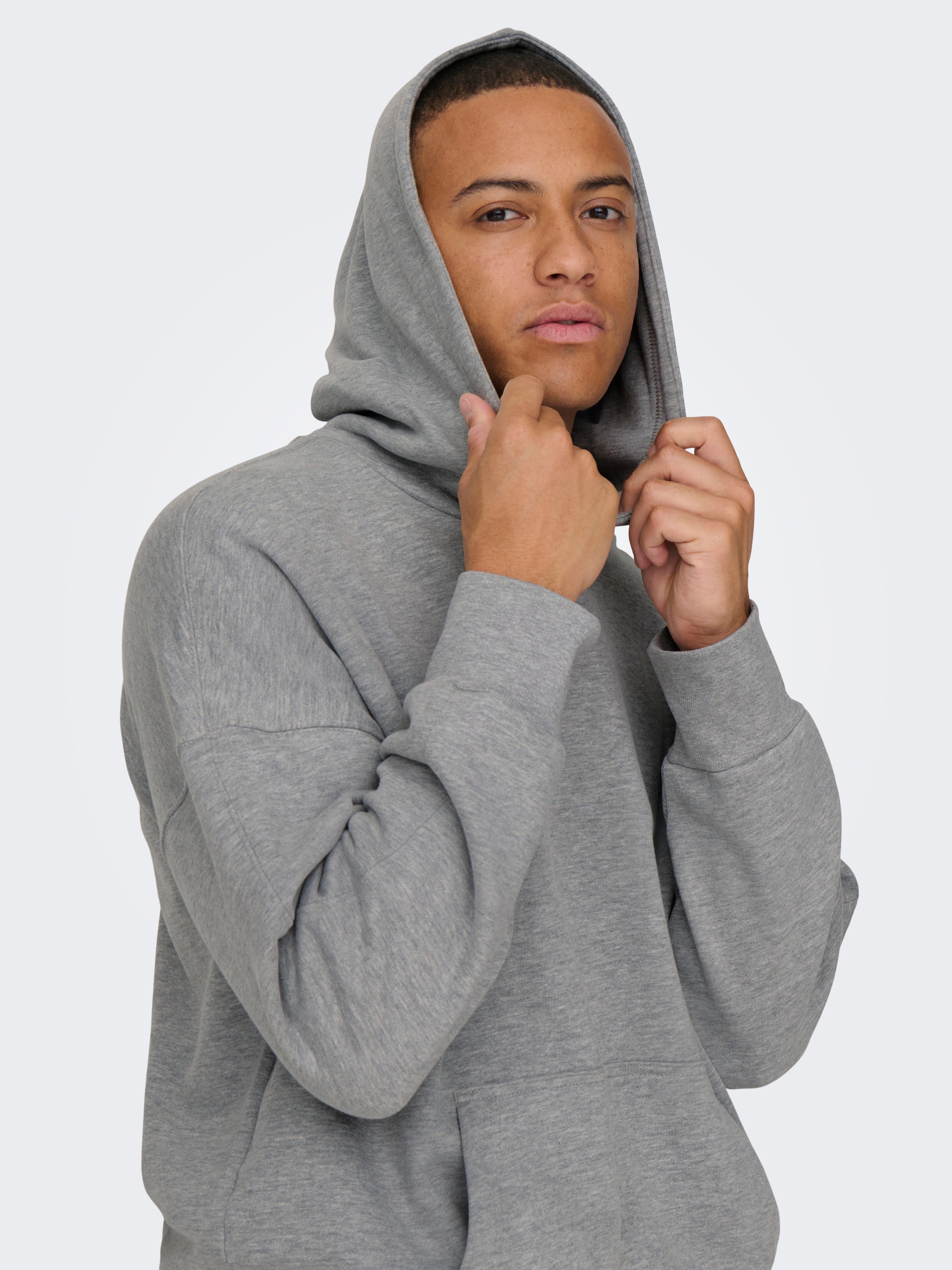 ONSDAN Sweatshirt | Light Grey | ONLY & SONS®