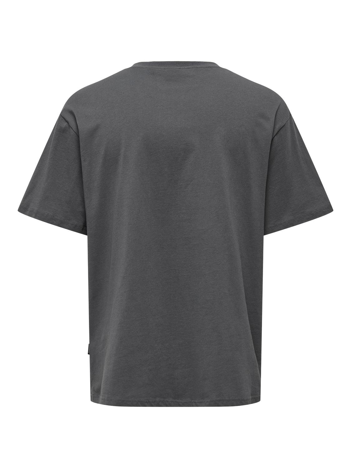 ONLY & SONS Locker geschnitten Rundhals Kastige Ärmel T-Shirt -Grey Pinstripe - 22027946