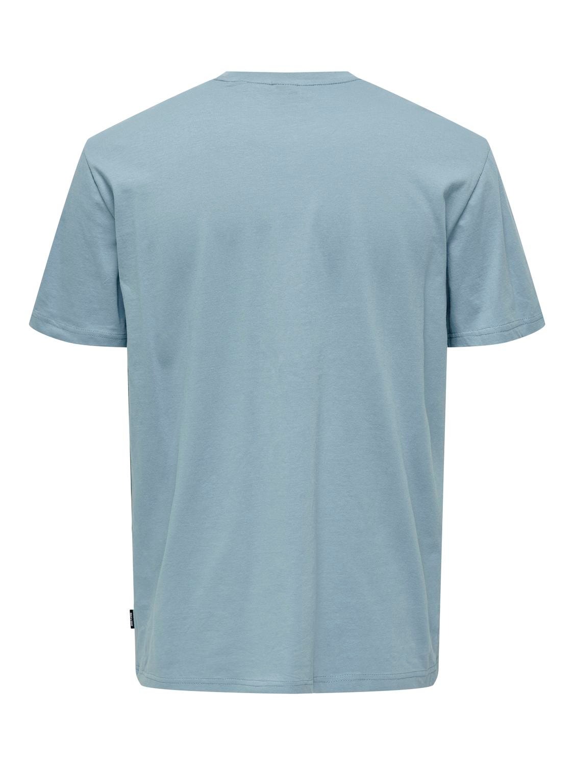 ONLY & SONS Regular Fit Round Neck T-Shirt -Mountain Spring - 22028688