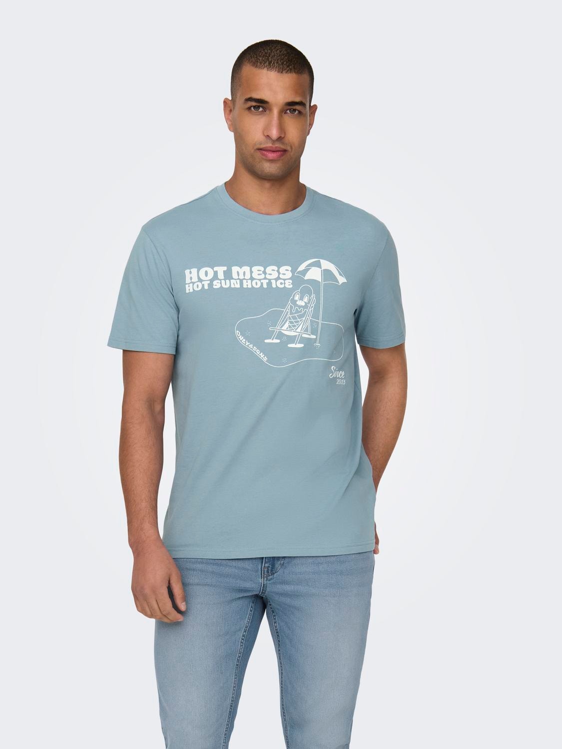 ONLY & SONS Normal geschnitten Rundhals T-Shirt -Mountain Spring - 22028688