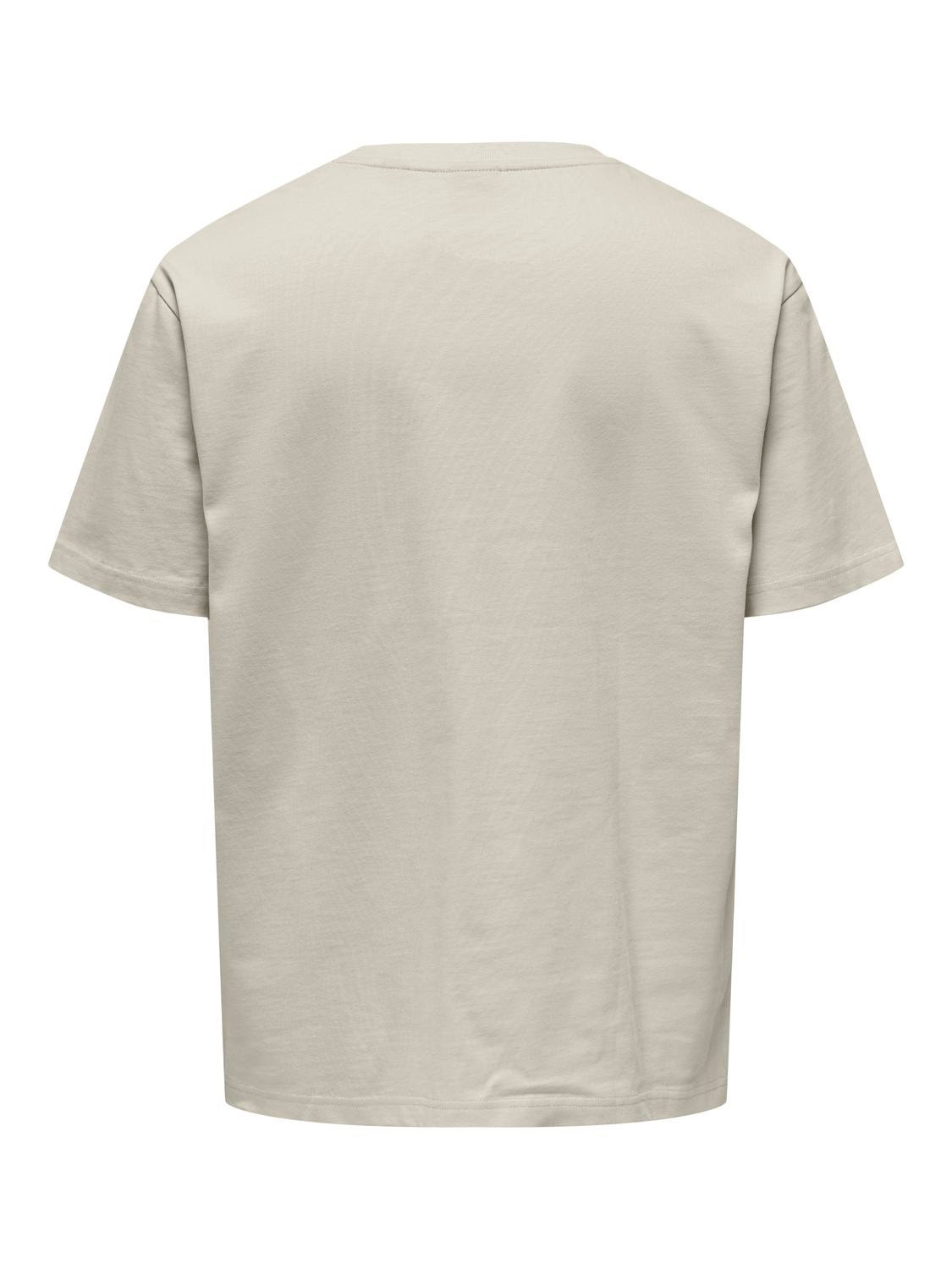 ONLY & SONS Krój swobodny Okrągły dekolt T-shirt -Silver Lining - 22028766