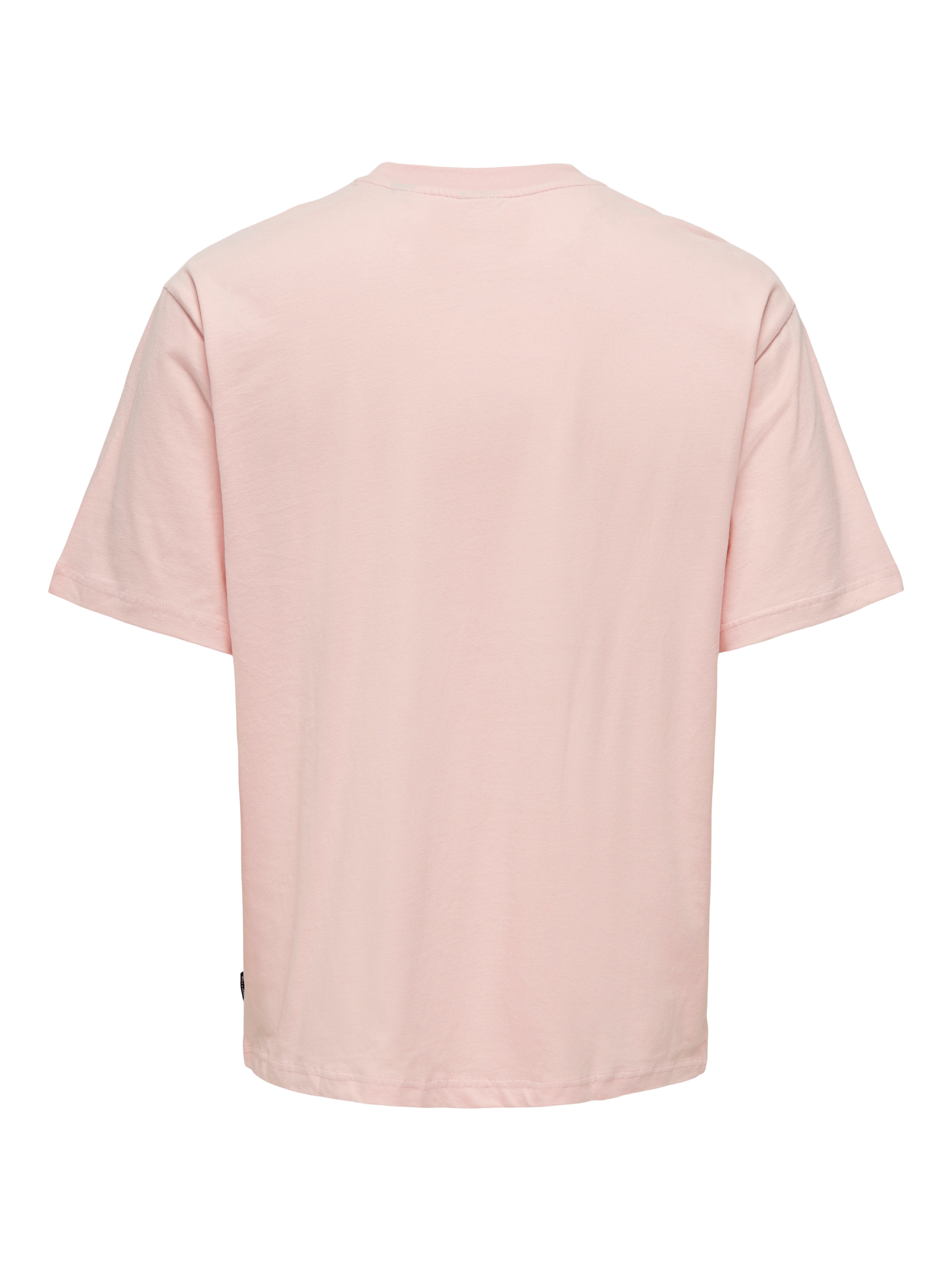 【sinoon】24FW Rose Graphic Slim T-Shirt SINOON